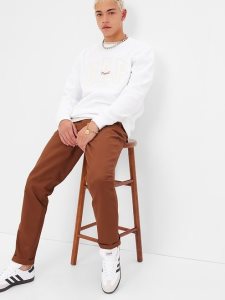 Gap Modern Khakis in Slim Fit Braun | 4815-GOMEB